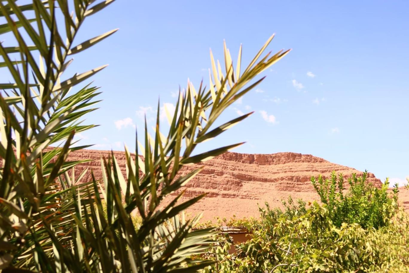 Gite D'Etape Ziz Oasis Achbarou Exterior photo